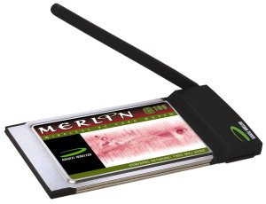 merling100.jpg
